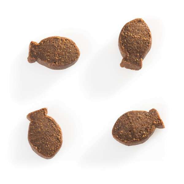 Dibaq Natural Moments Hundefutter Lachs – 15 Kg, Für Haut & Fell, 100% Natürlich