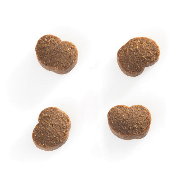 Hundesnack moments Früchte (getreidefrei)