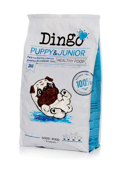 Dingo Puppy &amp; Junior